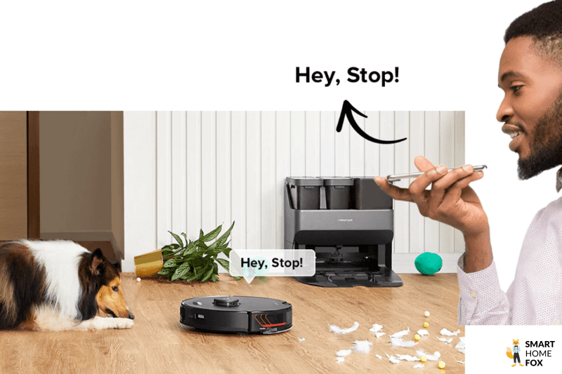 Хозяин общается с собакой через Roborock S7 MaxV Ultra